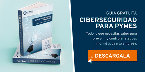 Guía de seguridad informática para empresas 1