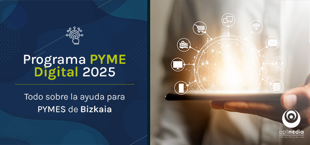 Programa PYME Digital 2025 en Bizkaia